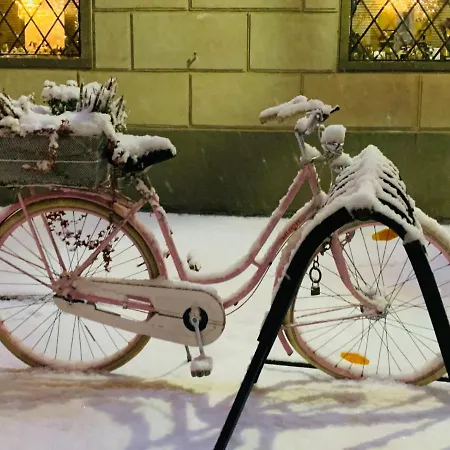 Lovely Flat In A Lovely