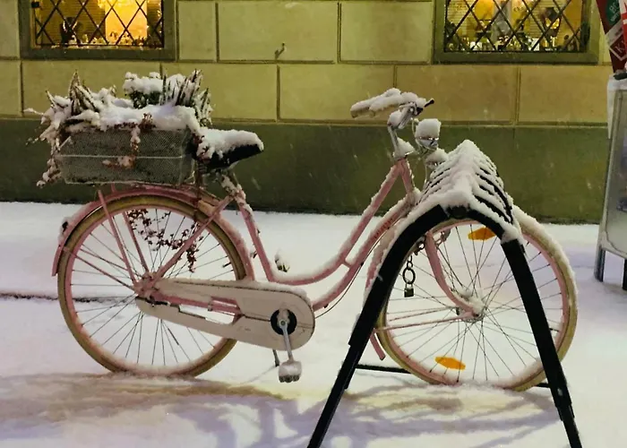 Lovely Flat In A Lovely