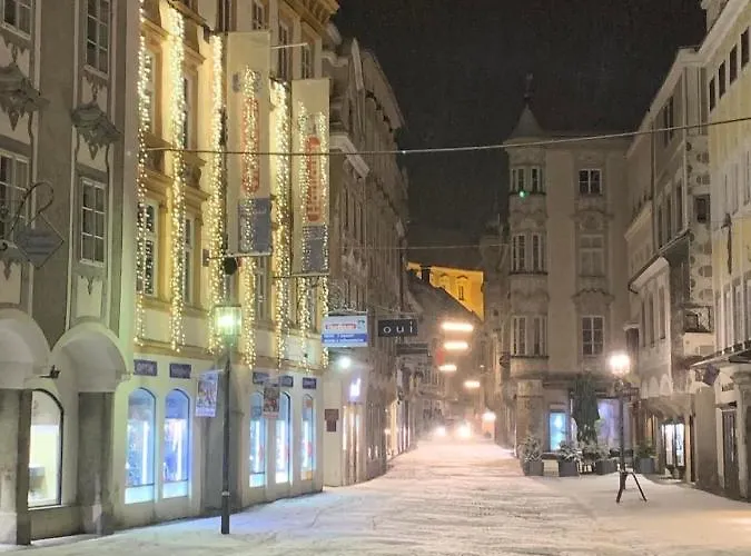 Lovely Flat In A Lovely Daire Steyr